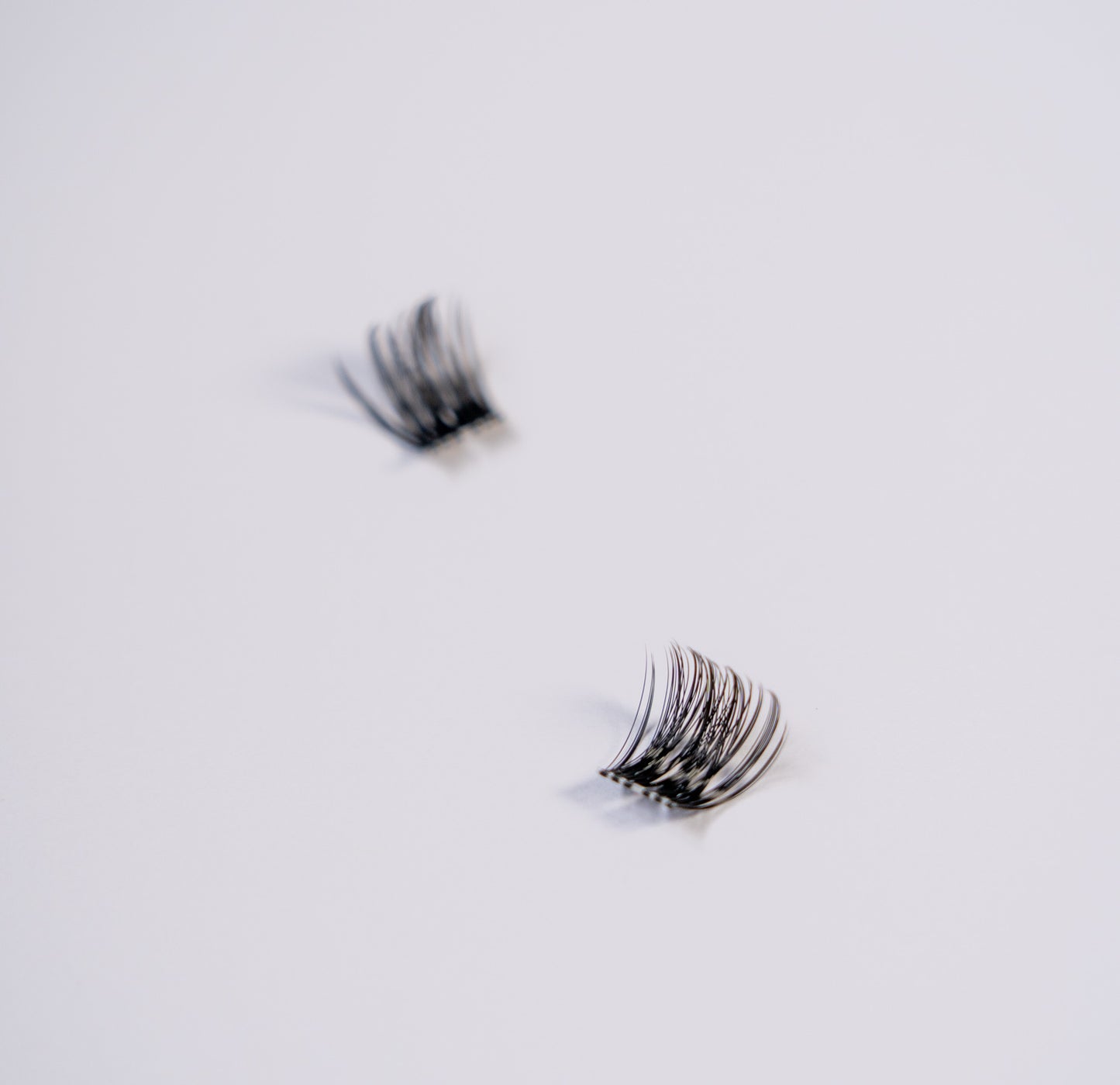 Flirty Lashes