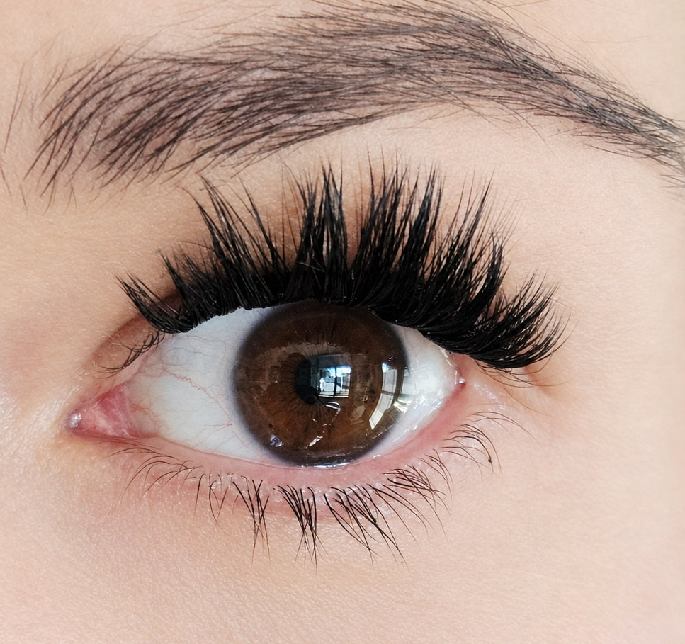Lashlover Bundle
