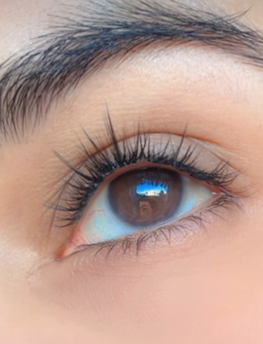 Lashlover Bundle