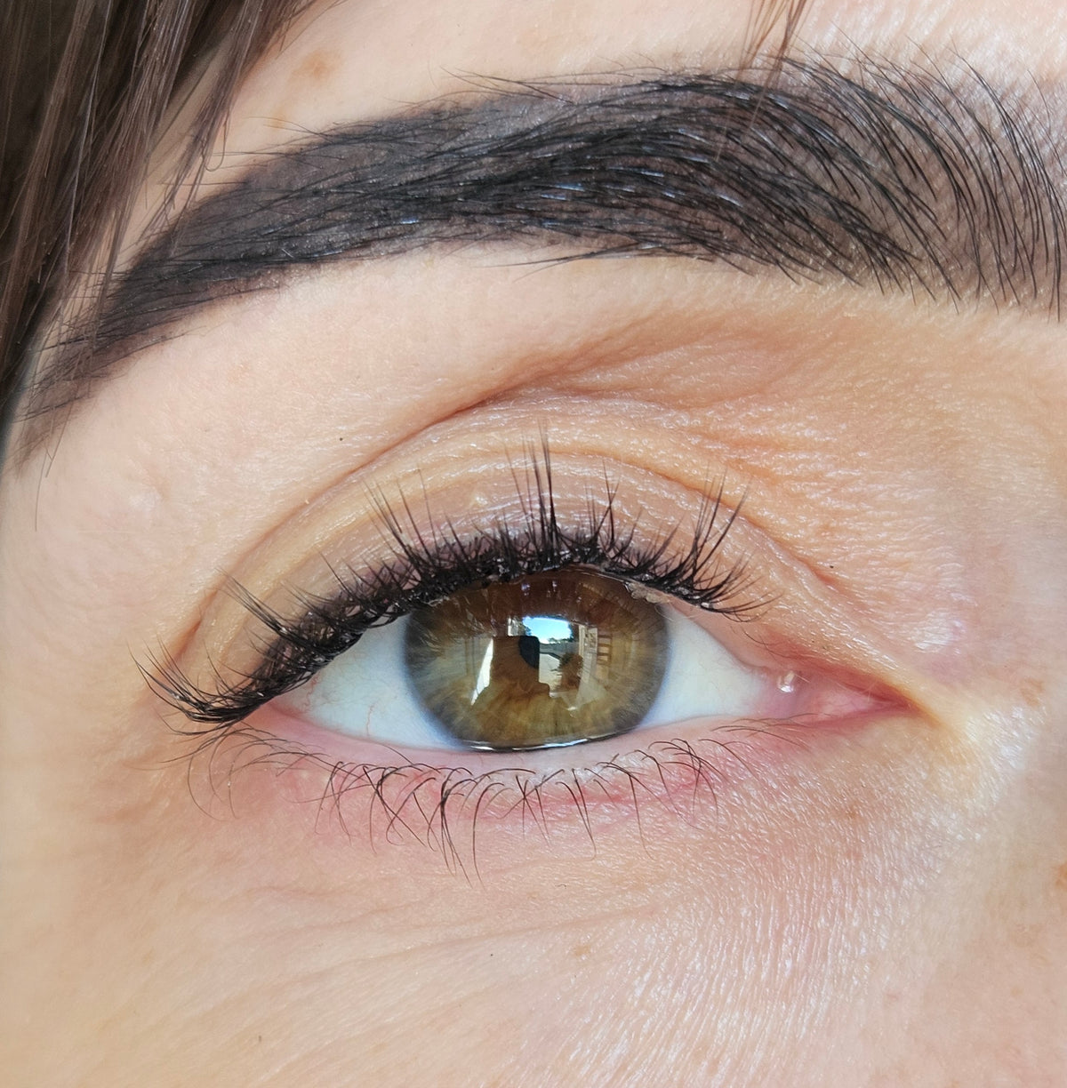 Lashlover Bundle