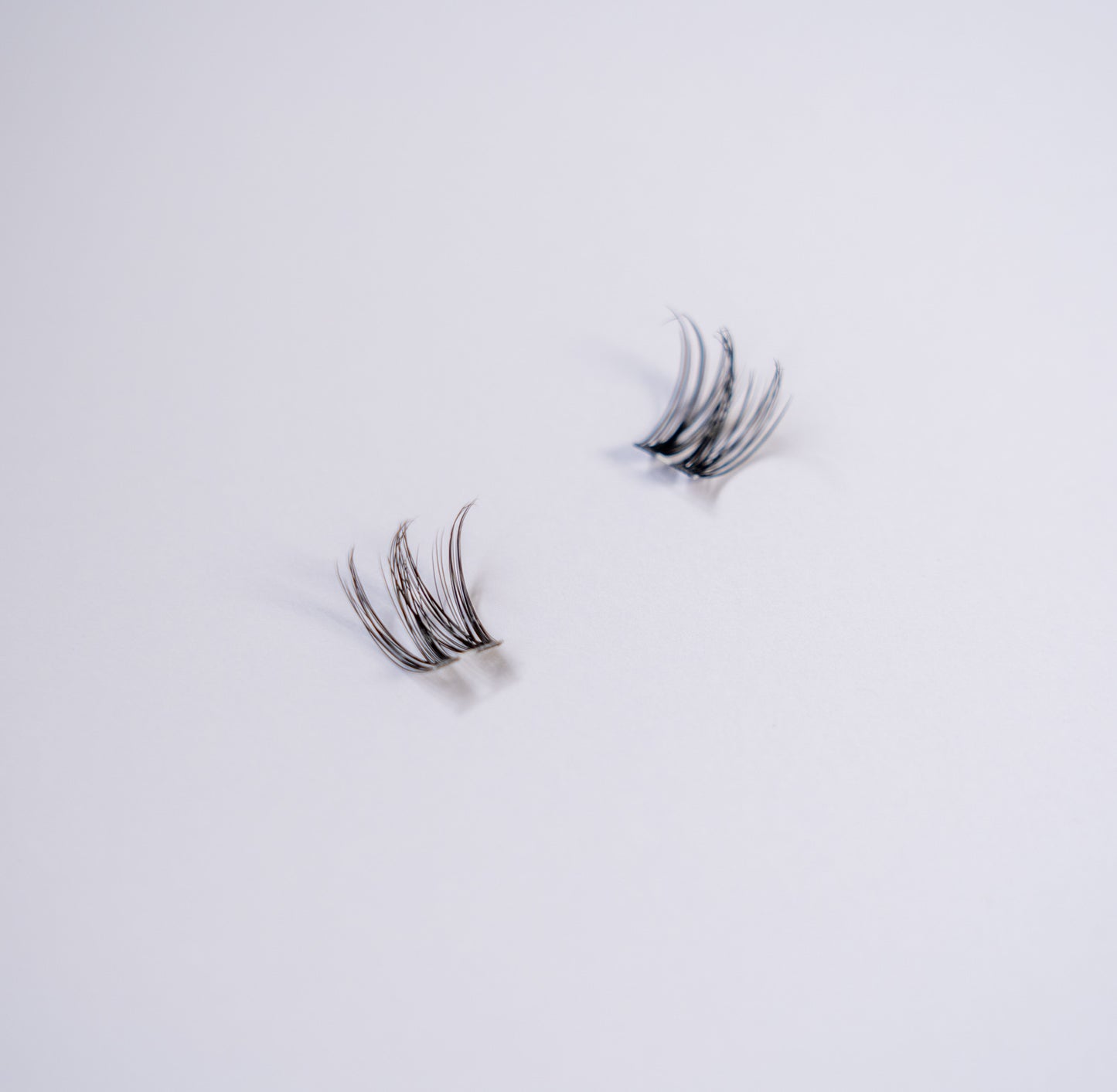 Wink Lashes